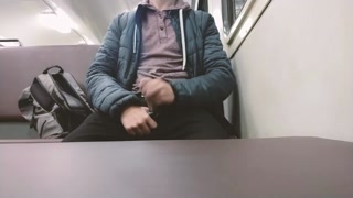 While no one was there, I decided to jerk off on the train