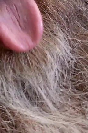 Full Edging Session March 22nd 2026