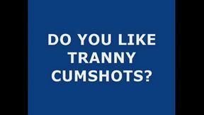 Live Tranny Cum 57