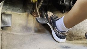 Footview Driving in Leopard print Adidas