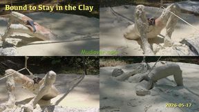 Bound to Stay in the Clay, 2026-05-17