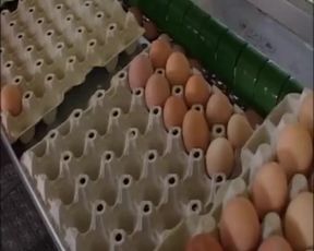 Outdoor Fuck with Hot Babes Maonig for Huge Cock Sliding in Wet Pussies Compilation