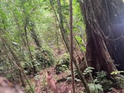 Risky Beach Pet and Pee Play in Panama