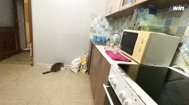 With conversations Came to visit a friend and while he was away fucked his wife in the kitchen