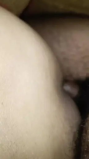 Lick My Ass.mp4