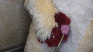 Pissing and cumming for you in fursuit
