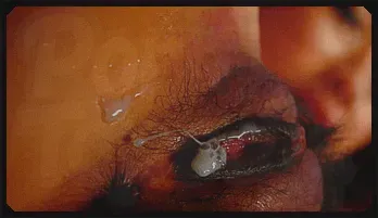 Japanese SakiShimazu in fishnet stockings gets a load inside