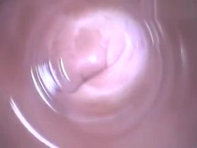 Slobbering Asian Tea Bag, Jizz Filled