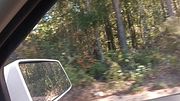 BOUT TO MEET UP WIT HIS WIFE IN THA WOODS!