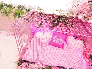 Pink Room Ep.thirty: Tatted Doxy Mag Numb Gets Used and Destroyed: Teaser - Prod by Nade Naughty