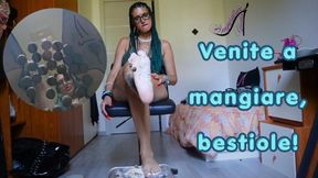 Venite a mangiare, bestiole!