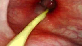 POV Ass Fuck Fucking Her Shitter Raw, Watch My Fat Cock Stretch Her Asshole and Blow a Fat Load Deep Inside Her Guts