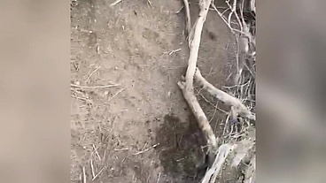 LEO BULGARI CRUISING WITH STRANGER IN THE DUNES OF MASPALOMAS - FULL VIDEO!!!