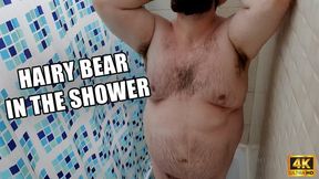 KingMarti: Hairy Bear In The Shower - 4k UHD - MOV