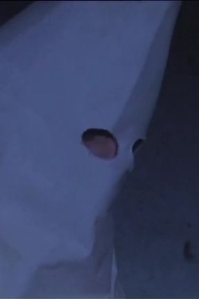 Sexy Blonde Tied Up and Fucked All Over