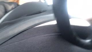 Stuffed ssbbw jiggling while driving