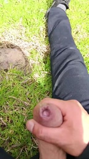 He took out his penis and masturbated until I came in a field on the outskirts of the city.