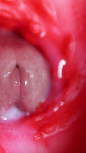 Nice big head slides inside best friend's sweet shiny hole!   Clip 1