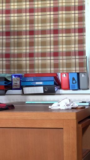 She Did Not Learn Her Lesson