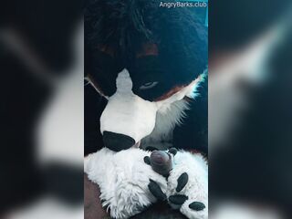 Fur Puppy Voz makes a mess without SJ