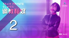 "Training a Private Slave 2 (Chinese Model)