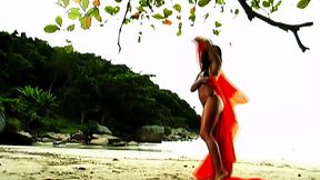 Brown Hole Devours Tropical Island Pleasures