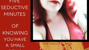 Five Seductive Minutes of Knowing You Have a Small Penis