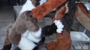 Twink boy gets split by landlord for unpaid rent