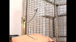 A Humiliated Dictator