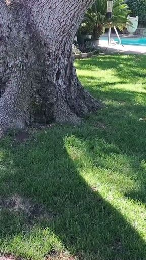 Jay Taylor and uncut boy outdoors   Clip 1