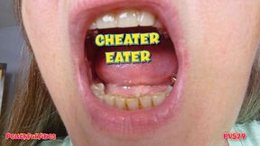 PV529 - Cheater Eater