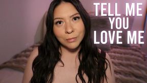 Tell Me You Love Me