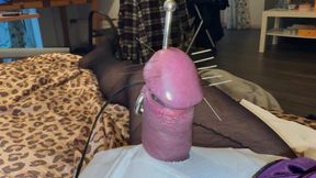 Acorn torture with extra long needles!