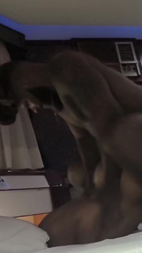 Emotional moment from &quot;Married mulatto cheating cuckold with Nursing Black BBC&quot;