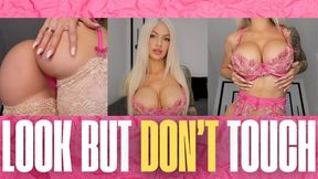 Look but DON’T Touch