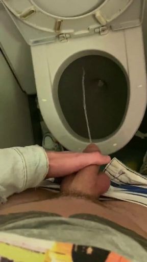 Jerk off and pee in the toilet of the plane