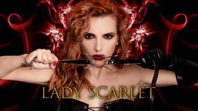 LADY SCARLET - SEGREGATED WITH PINCHED NIPPLES - SEGREGATO CON I CAPEZZOLI PINZATI