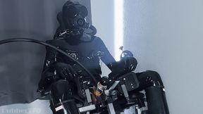 The Gimp Extraction Lab
