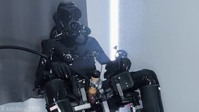 The Gimp Extraction Lab