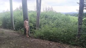 Between the Beeches: Rough Exhibition on Bare Wood