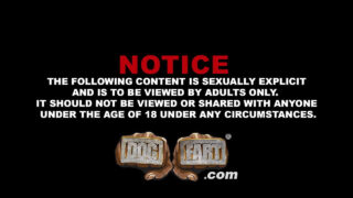 Interrazziale pompino, sborrata, nero, trio, cazzi – Adrian Suarez e Micah Martinez tatuati con l'orso scopati nel culo, BBC