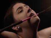 Twas The Night Before BDSM Christmas