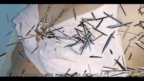 Desi Indian Aunty Anal Fucked Very Hard Part 1