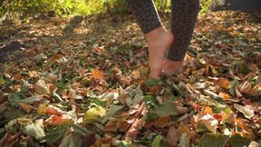 Leaves Crunching Underfoot Asmr
