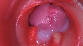 Super Cum in Vagina. Excellent Internal Camera. 4K