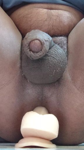 Anal toy