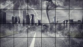 LP-274 Muscle Worship Me-1080HD