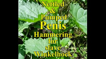 Slave Winkelhock&#039_s Pumped Penis nettle stinged and hammered