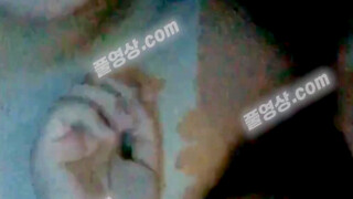 Korean Couple Enjoys Intense Pleasure With Each Other