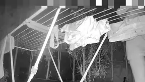 Fresh Linens Cant Hide Hard-On Cravings — Naughty Fantasies Overflow – GayPorn69